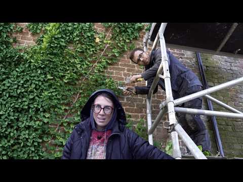 This Ivy Was Destroying Our 154-Year-Old House