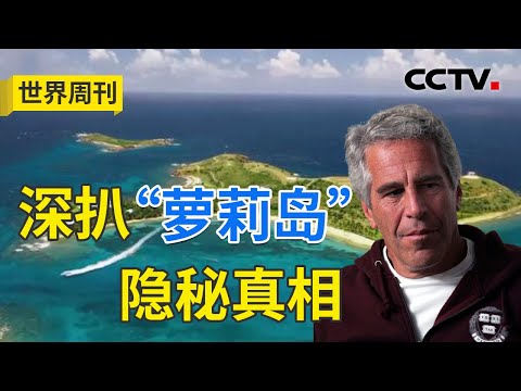 爱泼斯坦的财富藏多少黑幕？多名受害者亲述“萝莉岛”真相！20240114 |《世界周刊》CCTV中文