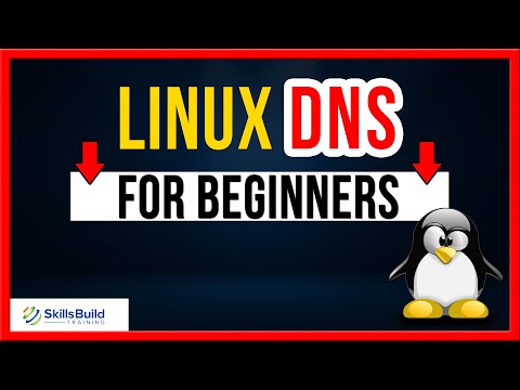 Linux DNS Server Configuration for Beginners