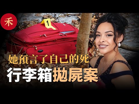 路邊的行李箱不要撿，修路工人拉開拉鏈，發現了凍僵的女人#案件 #crime #crimestory #懸疑