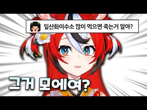 트랩에 제대로 걸린 땃쥐