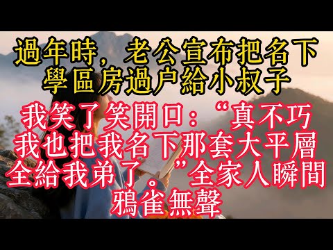 過年時，老公宣布把名下學區房過戶給小叔子；我笑了笑開口：「真不巧，我也把我名下那套大平層，全給我弟了。」全家人瞬間鴉雀無聲