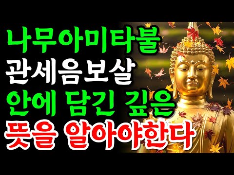 평생 잘못 염불했다고? 나무아미타불과 관세음보살의 진짜 의미 | 부처님가르침 | 부처님말씀 | 부처님지혜