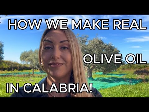 🇮🇹 From Olive to Oil | Traditional Olive Oil Making in Santa Maria del Cedro, Calabria 🫒✨
