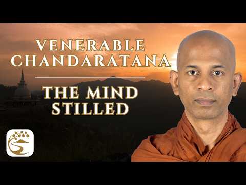 Sri Lanka's Meditation Renaissance: Forest Practice & the Magic of the Mind | Ven. Chandaratana Q&A