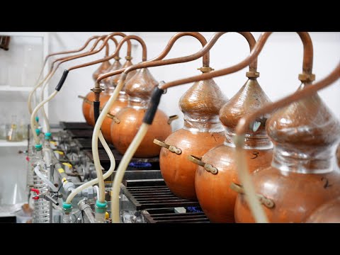 The 400-year-old secret of Korean traditional liquor. the process of brewing soju for 108 days