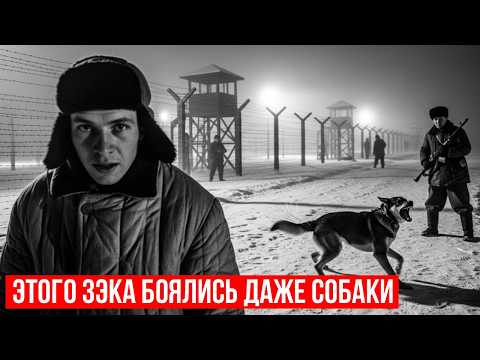 ТАЙНЫЙ ПОГОНЯЧ: ЗЭК, КОТОРОГО БОЯЛИСЬ СЛУЖЕБНЫЕ СОБАКИ