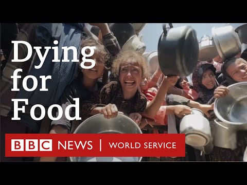 Gaza: Dying for Food - BBC World Service Documentaries