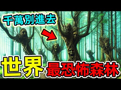 全世界最危險的10個森林！每年超150萬人在此喪命，日本青木原只排第4，第一名堪稱“綠色地獄”。|#世界之最top #世界之最 #出類拔萃 #腦洞大開 #top10 #最危險森林