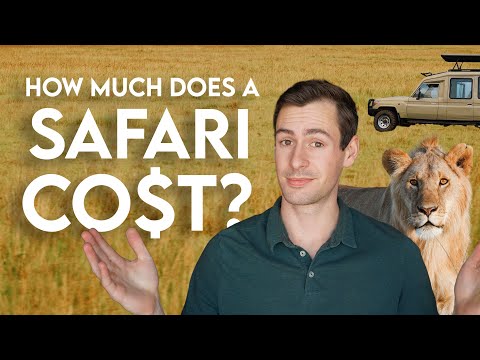 How Much Does a Safari Cost? (2026 Pricing Guide)