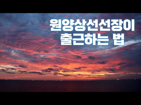 일년에 두 번 출근(?) 집보다 바다에 더 오래사는(?) 35살 영국회사 한국인 선장의 출근길I Vitaminsea-Ep.97