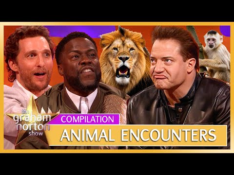 Close Encounters... of The Furry Kind | Funny Animal Encounters | The Graham Norton Show