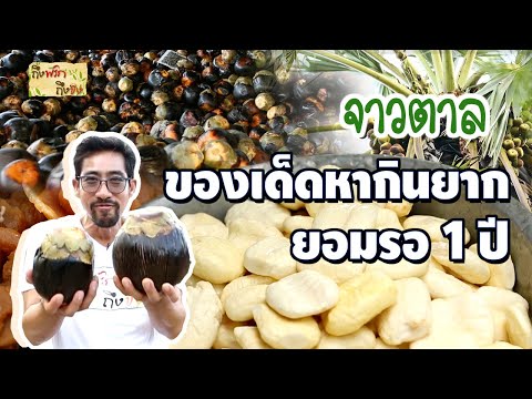 จาวตาล ของเด็ดหากินยาก ยอมรอ 1 ปี I ถึงพริกถึงขิง