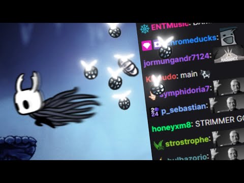 I beat Hollow Knight 0 Geo with Gathering Swarm