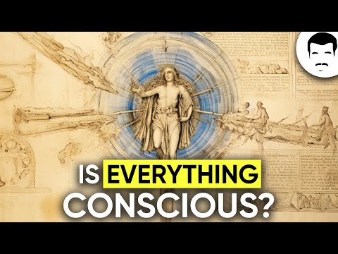 What is Consciousness? With Neil deGrasse Tyson & George Mashour