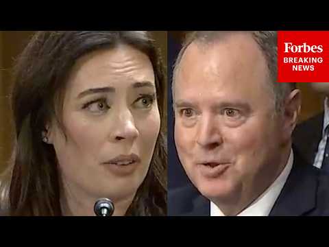 'Have You Ever Tried A Case To A Verdict Before A Jury?': Adam Schiff Grills Trump Judicial Nominee