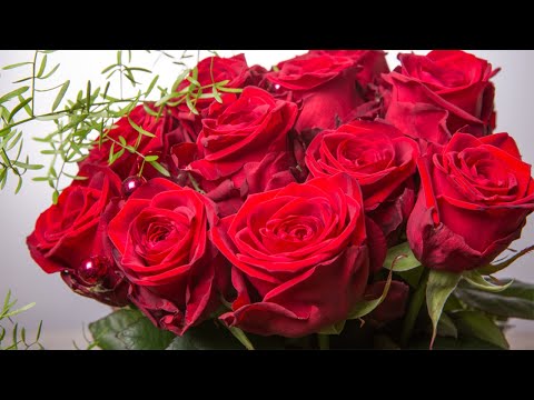 The best music 🌿 will help relieve fatigue from stress🌿 will calm the nervous system #23