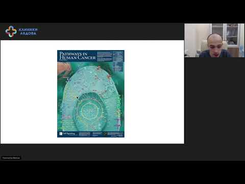 Таргетная терапия. Разговор с онкологом