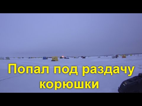 Попал под раздачу корюха 12.12.21 Северная Двина