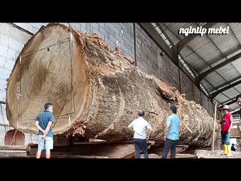 SPEKTAKULER !! Transaksi Fantastis. Kayu Jati Besar Bahan Joglo Seharga 5 Ekor Sapi Dibayar H. Udin.