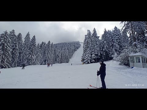 Зимние каникулы в Банско Болгария Январь 2025 Winter holidays in Bansko Bulgaria January 2025