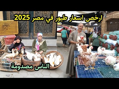 فرصه مش هتتكرر 💥 اسعار الطيور لتربية رمضان 2026 بط ووز وفراخ بسعر خيالي 🏃