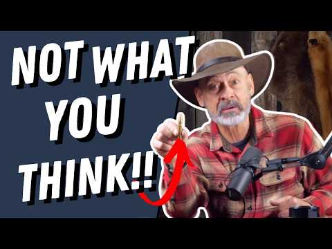 Best Cartridges for Africa? (The Answer May Surprise You!!)