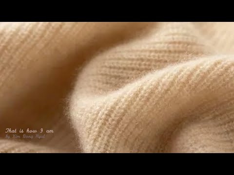 ☃️ 겨울이면 찾아오는 안경선배 삼대장: 정준일, 성시경, 그리고 김동률 (Playlist)