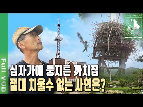 강원도 시골에 자급자족 100% '농부목사'가 있다! 30년간 농촌교회 떠나지 못한 이유는?  | 자연의 철학자들 62부 (KBS 20230623 방송)