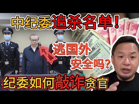 老王来了：中纪委是如何敲诈富豪、贪官的！逃到海外就安全吗？｜退休后哪些国家买房最稳？｜