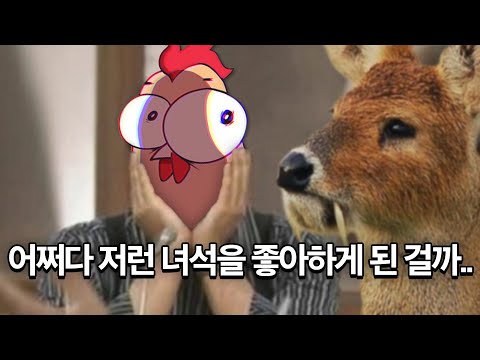 고라니 누나