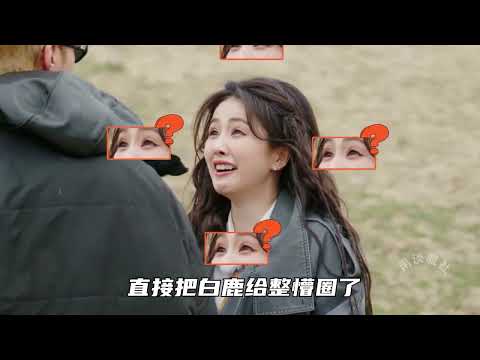 不怕顯眼包多,就怕顯眼包聚一窩,難怪大家都喜歡看白鹿上綜藝! #白鹿 #抓馬 #抽象 #範丞丞 #王