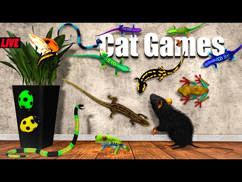 Cat TV Live 24/7 – Fast Moving Lizards, Frogs & Real Mouse Sounds | Cat Games in 4K