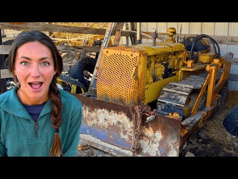 Will It Start? Barn Find Caterpillar Bulldozer with LOW HOURS