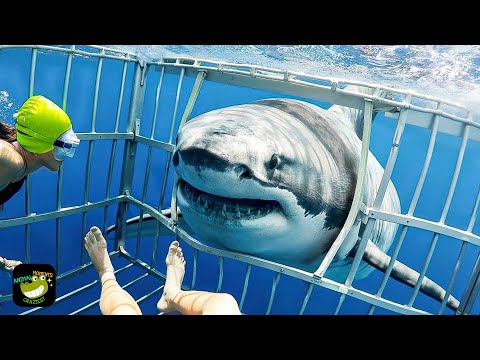 One in a Billion Animal Moments Caught on Camera #16