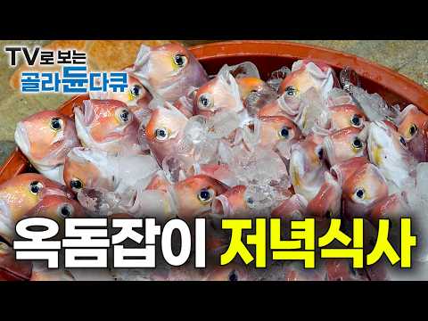 ‘어획량 2%미만’ 한 마리 5만 원 비싼 생선 옥돔을 잡기 위한 바다 위 48시간 전쟁!｜지금 먹어야 맛있다｜봄제철 제주 만선 옥돔 잡이｜선상 먹방｜바닷가 사람들｜#골라듄다큐