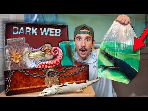 Ordering HAUNTED Live Fish Off The DARK WEB...