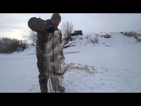 Рыбалка на хапуги в Сибири.. Попали на Язя.