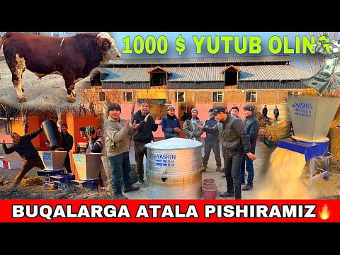 BUQA BOQISH SIRLARI YASHIN DIRABILKASI N1🔥