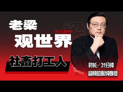 老梁观世界 打工人不想当社畜