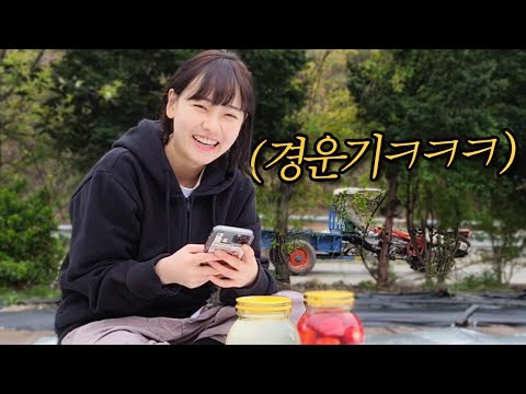 강원도식 치킨 배달ㅋㅋㅋㅋㅋ