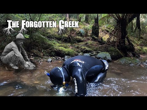 Returning to the forgotten creek full of GOLD!!