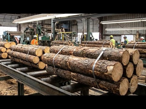 Inside Plywood Factory How Woods Are Processing Industrial 
