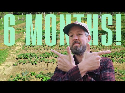Touring the Grocery Row Garden (at 6 Months!)
