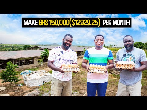 How They Make GHS150,000($12,929.25)/Month From Their 12,500 Capacity Poultry Farm #poultryfarming