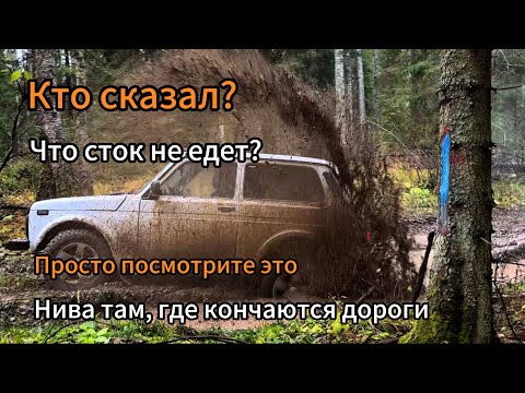 Кто сказал, что сток не едет? Просто посмотрите это