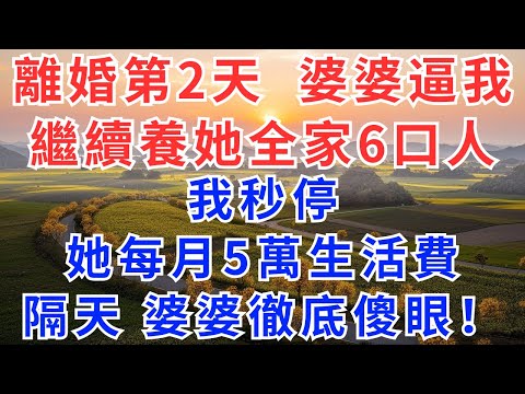 離婚第2天，婆婆逼我繼續養她全家6口，我秒停她每月5萬生活費，隔天一舉動婆婆徹底傻眼！#慧心家事#小說#說故事#為人處世#生活經驗#情感故事#晚年哲理