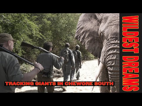 Tracking Giants in Chewore South
