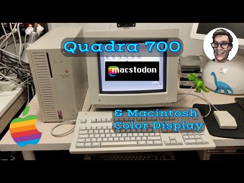 Quadra 700 - tour, setup and social media...!