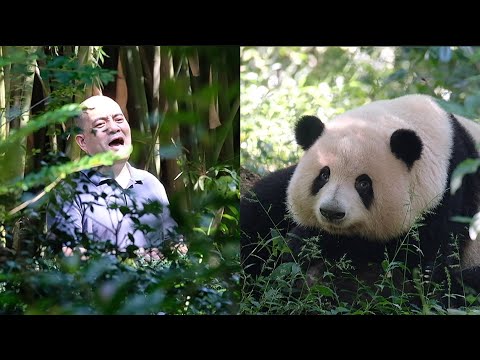 25.10.02 爷爷喊的越凶，花花骂的越凶，今天身子痒痒不爱搭理爷爷了。